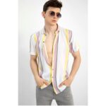 Rayon-Stripes-Half-Sleeves-Regular-Fit-Mens-Casual-Shirt.jpg