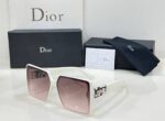 Dior Sunglasses (2)