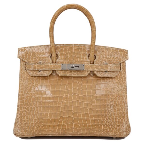 Hermes Crocodile Birkin 30 Handbag