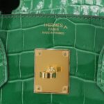 Hermes Crocodile Birkin 30 Handbag (1)