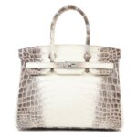 Hermes Crocodile Birkin 30 Handbag (8)