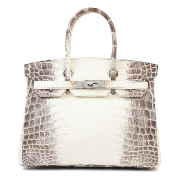 Hermes Crocodile Birkin 30 Handbag