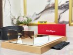 Salvatore Ferragamo sunglasses 6999 (1)