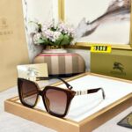 Burberry Sunglasses 6999 (5)